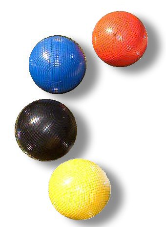 Rhacophorus+leucomystax